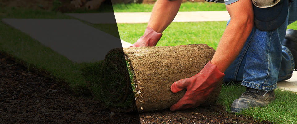 Gonzales Landscapers